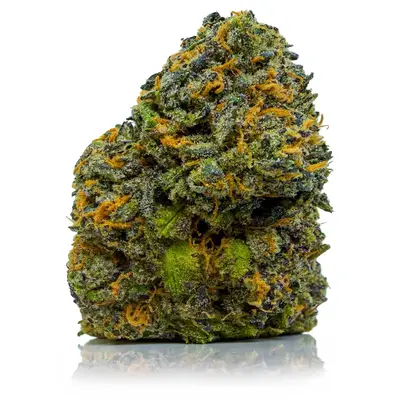 PURPLE JEALOUSY (BC PREMIUM), Sativa Hybrid
