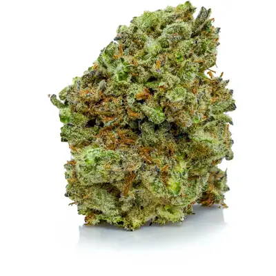 PINEAPPLE HAZE (CRAFT), Sativa Hybrid