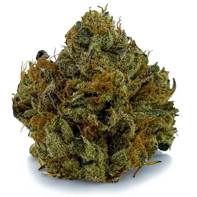 PINK DEATH (CRAFT), Indica Hybrid
