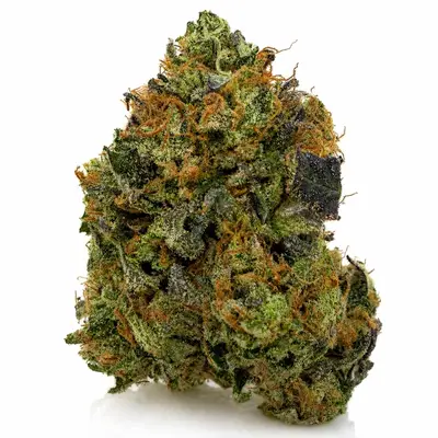 PINK DEATH GUCCI (CRAFT), Indica Hybrid
