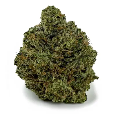 PINK TOMFORD (EXOTIC), Indica Hybrid